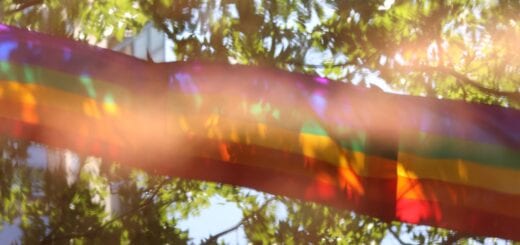Eine Regenbogenfahne vor einem Baum im Sonnenlicht