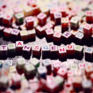 Würfel mit bunten Buchstaben, die das Wort "transgender" bilden.