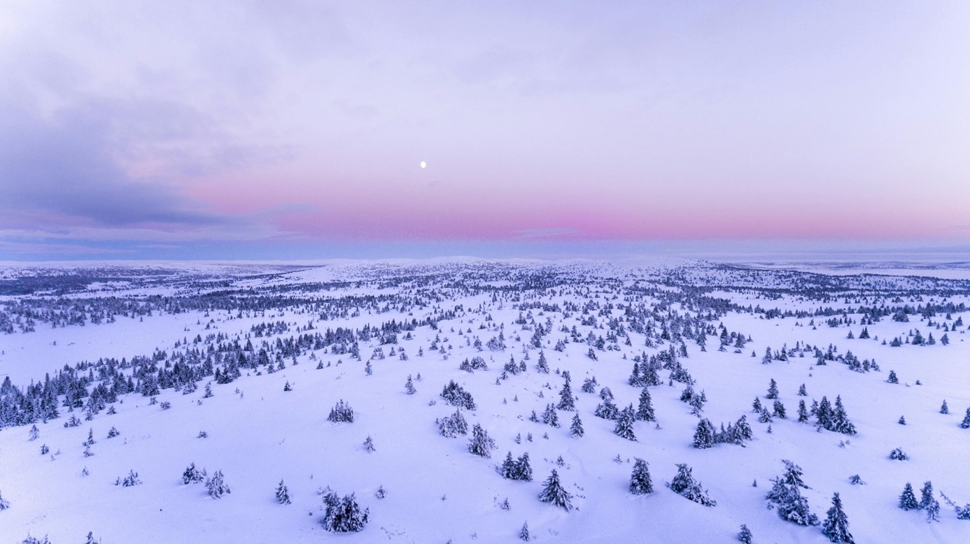 Eine nördliche Schneelandschaft. Alles ist weiß, einzelne Bäume ragen aus der Schneedecke raus. Es ist nicht erkennbar, ob es Tag oder Nacht ist, der Himmel hat einen leichten pinken Ton.